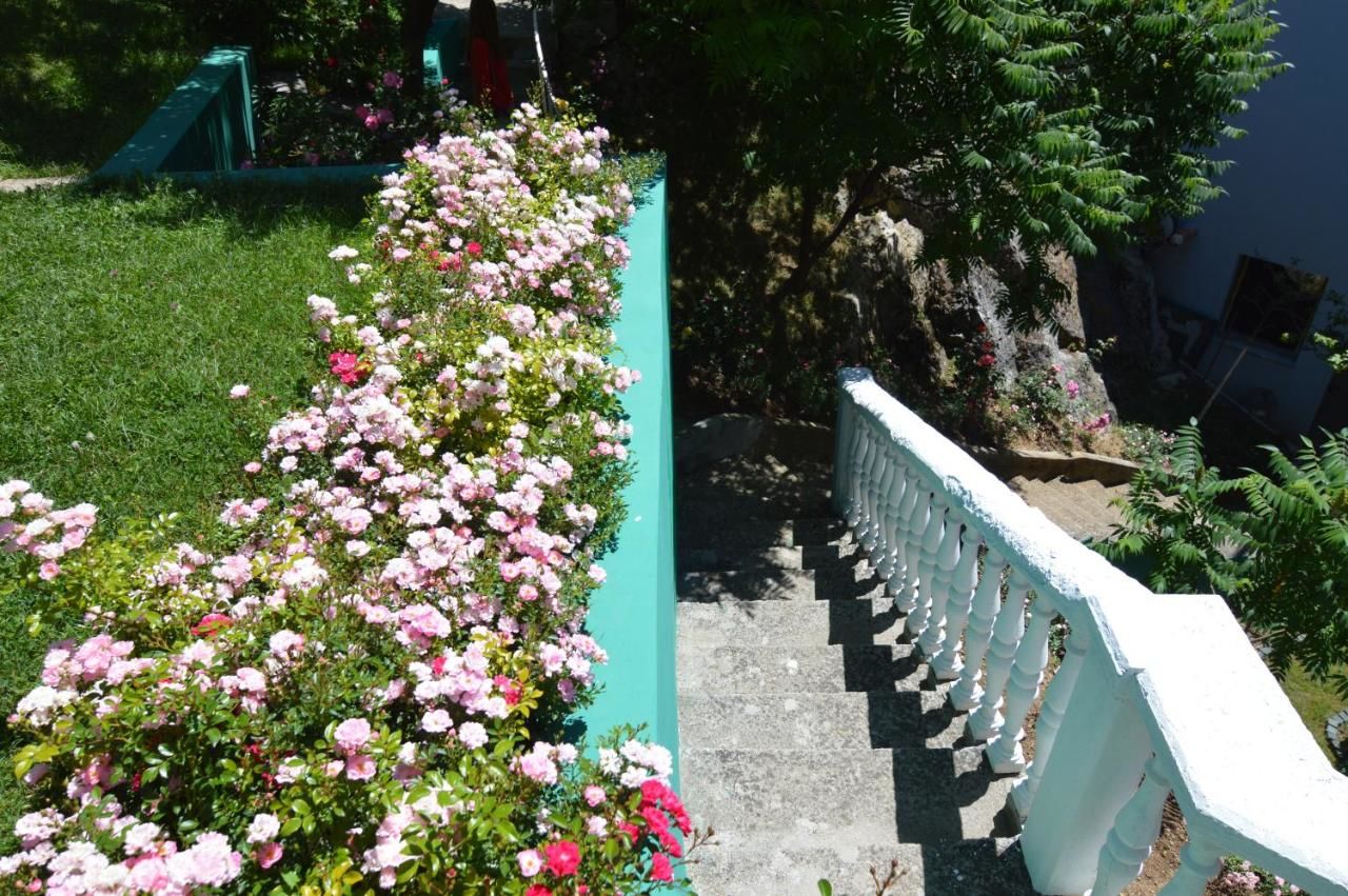 Отель Hotel 24 jul Плевля-15
