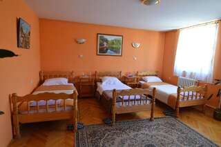 Отель Hotel 24 jul Плевля Трехместный номер эконом-класса-1